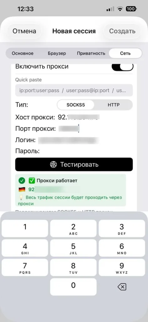 Проверка подключения HTTP или SOCKS5 прокси в ExitAnty для iPhone с успешным результатом тестирования.