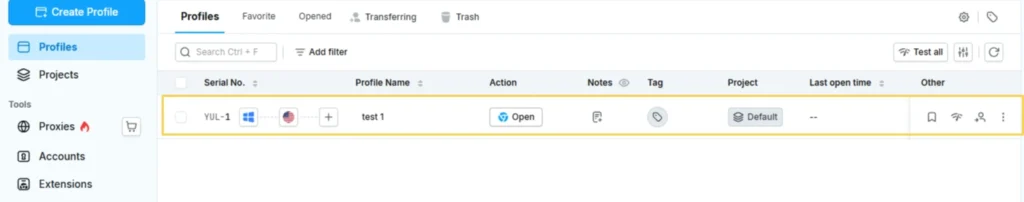 RoxyBrowser Profiles page showing a configured browser profile ready to launch.